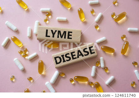 Lyme Disease symbol. Concept word Lyme Disease on wooden blocks. Beautiful pink background with pills. Medicine and Lyme Disease concept. Copy space Lyme Disease symbol. Concept word Lyme Disease on wooden blocks. Beautiful pink background with pills. Medicine and Lyme Disease concept. Copy space 124611740