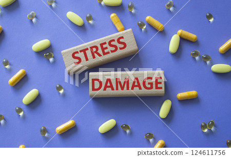 Stress Damage symbol. Concept word Stress Damage on wooden blocks. Beautiful purple background with pills. Medicine and Stress Damage concept. Copy space 124611756