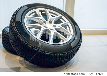 Tires for professional mechanic changing 124612693