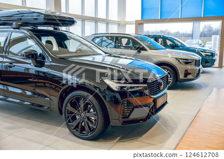 Automobiles in car service for control and problem diagnosis Automobiles in car service for control and problem diagnosis 124612708