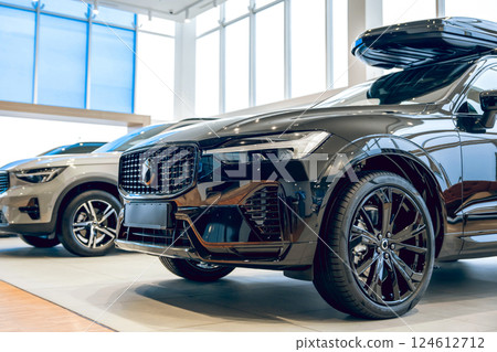 Automobiles in car service for control and problem diagnosis Automobiles in car service for control and problem diagnosis 124612712
