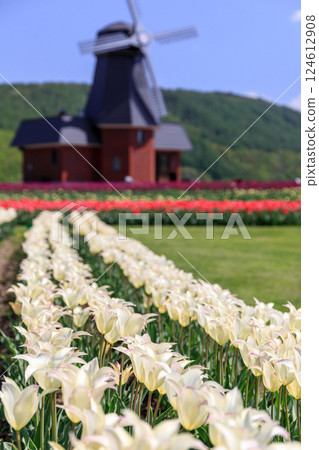 北海道湧別市上湧別鬱金香公園，70萬株鬱金香盛開 [5月] 124612908