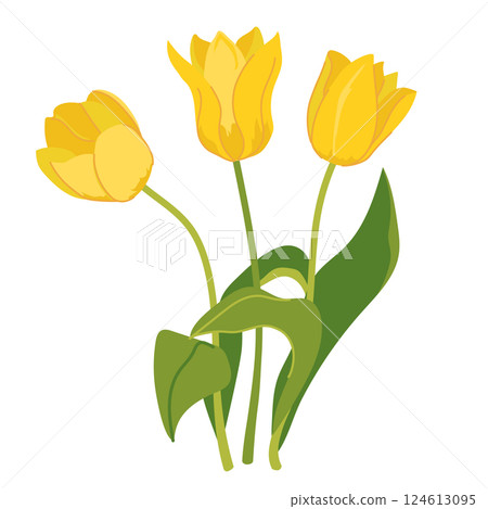 Beautiful bouquet of yellow tulips isolated on white background. Bouquet of spring flowers, gift for International Women's Day or Mother's Day. Colorful vector illustration in flat style. Beautiful bouquet of yellow tulips isolated on white background. Bouquet of spring flowers, gift for International Women's Day or Mother's Day. Colorful vector illustration in flat style. 124613095