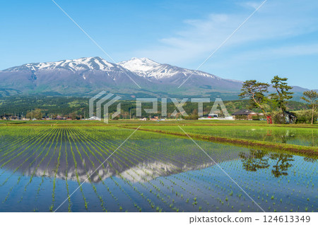 鳥海山及其在稻田中的倒影 鳥海山及其在稻田中的倒影 124613349