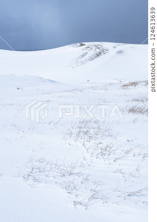 冬季鳥取沙丘的雪景 鳥取縣 鳥取沙丘 124613639