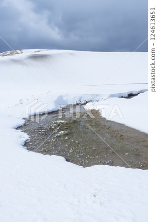 Snow scene of Tottori Sand Dunes in winter Tottori Prefecture Tottori Sand Dunes 124613651