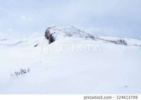 Snow scene of Tottori Sand Dunes in winter Tottori Prefecture Tottori Sand Dunes Snow scene of Tottori Sand Dunes in winter Tottori Prefecture Tottori Sand Dunes 124613799