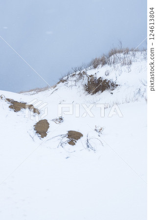Snow scene of Tottori Sand Dunes in winter Tottori Prefecture Tottori Sand Dunes Snow scene of Tottori Sand Dunes in winter Tottori Prefecture Tottori Sand Dunes 124613804