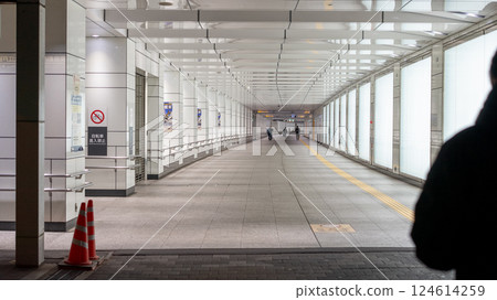 Underground passage from the west exit of Shinjuku Station to the Tokyo Metropolitan Government Building Underground passage from the west exit of Shinjuku Station to the Tokyo Metropolitan Government Building 124614259