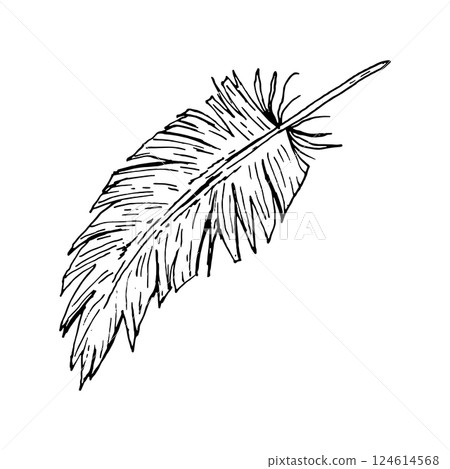 Hand drawn ink illustration of a feather with torn edges and detailed texture. Black and white vector line art drawing. Monochrome sketch of a single bird feather, suitable for natural themes. 124614568