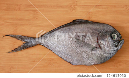 A silver atlantic pomfret or brama brama fish displayed on a wooden surface, highlighting its texture and freshness 124615030