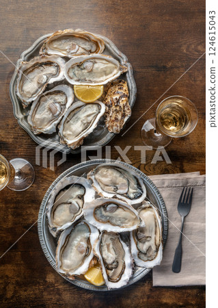 Fresh raw oysters on ice, overhead flat lay shot 124615043