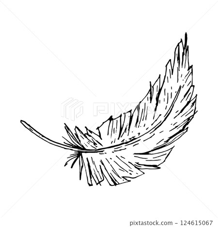 Hand drawn ink illustration of a curved bird feather. Monochrome vector drawing with textured lines and organic shape. Perfect for textile prints, rustic weddings, boho prints and farm themes. 124615067
