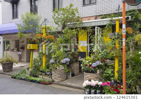 COUNTRY HARVEST in Omotesando 124615301