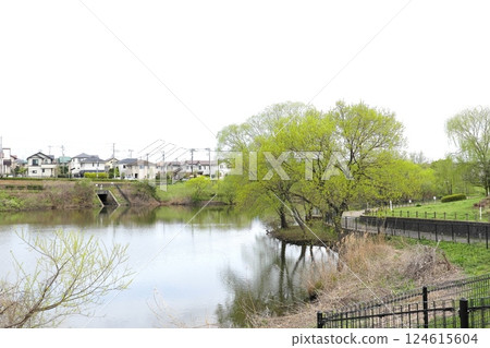 坪井近鄰公園的春天 124615604