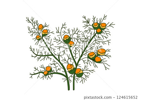 Botanical medicinal plant isolated on white background. Hand drawn bouquet chamomile with stems, leaves, flowers vector illustration.Graphic design element for Birthday Poster Invitation Greeting Card 124615652