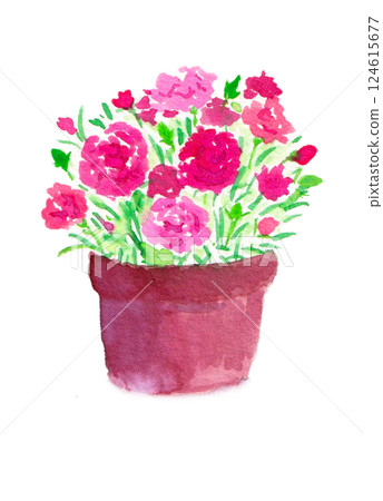 Carnation in a pot Carnation in a pot 124615677