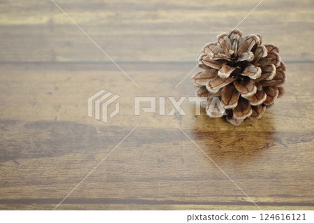 掌心大小的秋天，松果的詩意 124616121