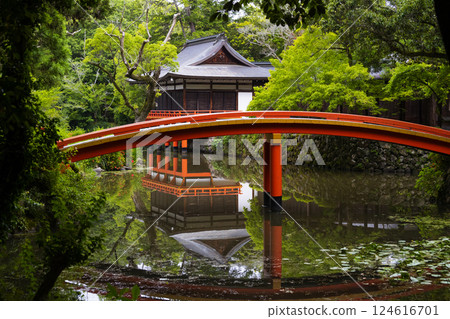 太鼓橋 124616701