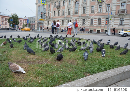 A trip to New York City is an unforgettable experience 124616808