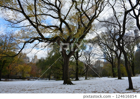 A trip to New York City is an unforgettable experience 124616854