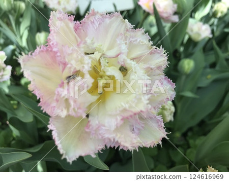 A trip to New York City is an unforgettable experience A trip to New York City is an unforgettable experience 124616969