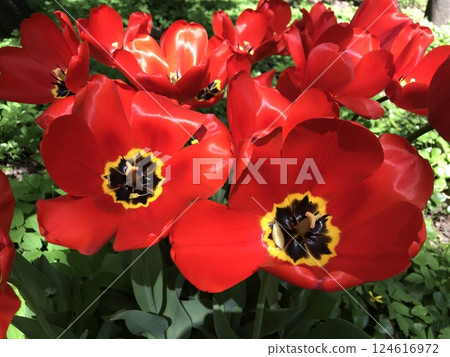 A trip to New York City is an unforgettable experience A trip to New York City is an unforgettable experience 124616972