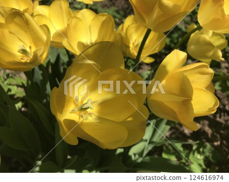 A trip to New York City is an unforgettable experience 124616974