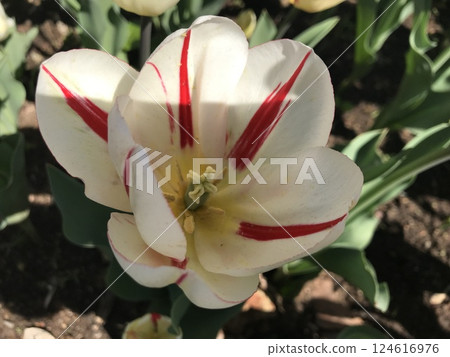 A trip to New York City is an unforgettable experience A trip to New York City is an unforgettable experience 124616976