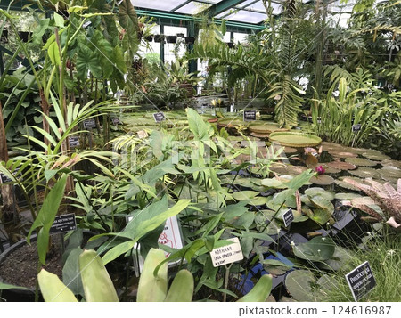 A trip to New York City is an unforgettable experience A trip to New York City is an unforgettable experience 124616987