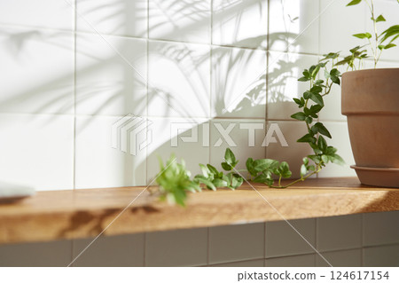 A serene space embraced by warm sunlight and nature, where harmony, comfort, and elegant beauty come together. 124617154