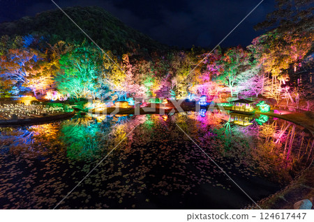 秋葉倒映在水面上 124617447