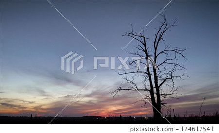 Bright sunrise over farmland landscape with lonely tree. A bright natural sunset background with a lone tree in a field. 124617541