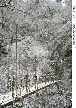 Mt. Takao of the snow Mt. Takao of the snow 124617658