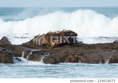 Seascape with a strong wave coming. Cantabrian sea, Spain Seascape with a strong wave coming. Cantabrian sea, Spain 124618073