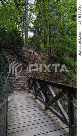Wooden bridge leading to hiking trail in pruhonice park Wooden bridge leading to hiking trail in pruhonice park 124618350