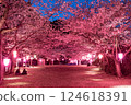 夜晚的櫻花被燈光照亮 124618391