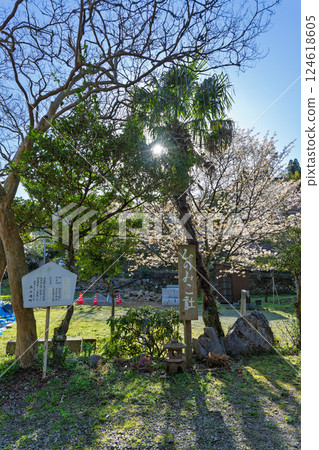 Worshiping nature in the spring scenery - Scenery of the grounds of Hinomikosha Shrine, Ueno, Takachiho-cho, Nishiusuki-gun, Miyazaki Prefecture 124618605