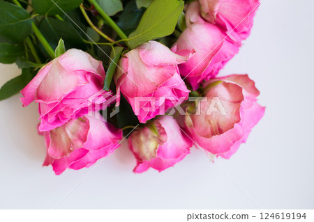beautiful pink rose lie on white table 124619194