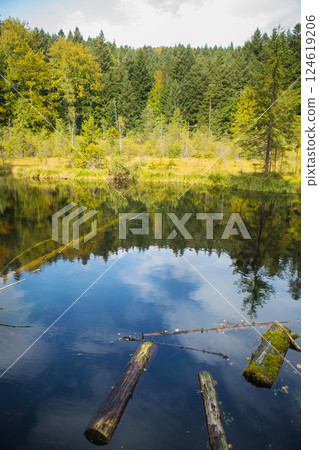 dead lake in a green forest in the Carpathians, Ukraine dead lake in a green forest in the Carpathians, Ukraine 124619206