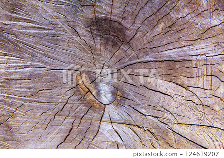 old brown wood texture, suitable for background old brown wood texture, suitable for background 124619207