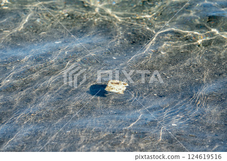 Plastic waste washed up on the shore in Ogasawara, Tokyo Plastic waste washed up on the shore in Ogasawara, Tokyo 124619516