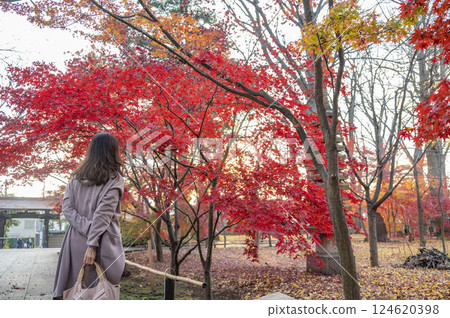 A woman enjoying the autumn leaves of Joshinji Temple 124620398