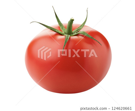 蕃茄 蕃茄 124620661