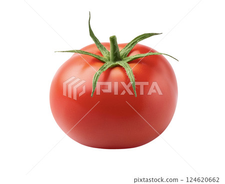 蕃茄 蕃茄 124620662