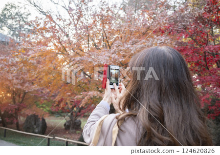 Woman photographing autumn leaves with smartphone 124620826