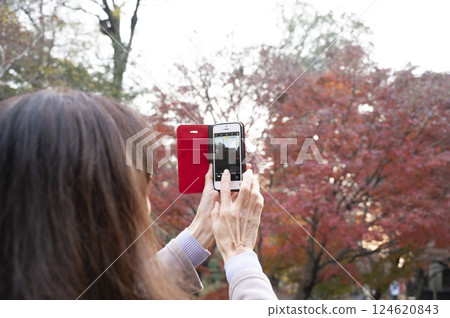Woman photographing autumn leaves with smartphone 124620843