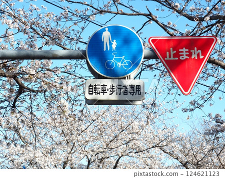 薩卡的櫻花樹 124621123