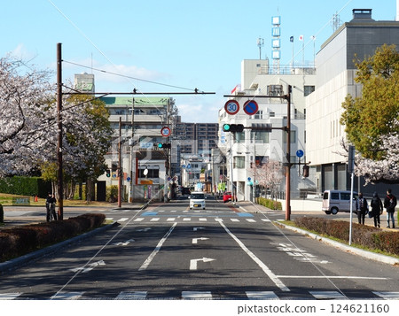 Saka's cherry tree 124621160