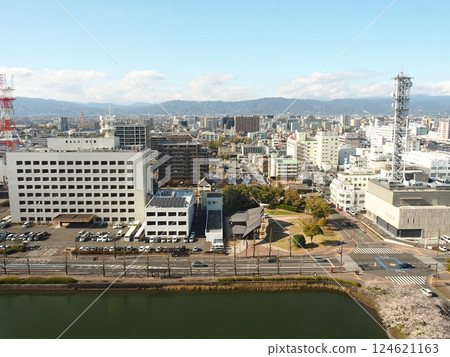 Saka's cherry tree Saka's cherry tree 124621163